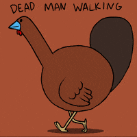 每日GIF(2021-11-26)的gif-Fox Animation Art GIF by Animation Domination High-Def