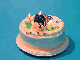 每日GIF(2021-11-26)的gif-Happy Birthday Cake GIF by Birthday Bot