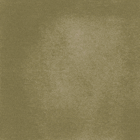 每日GIF(2021-11-27)的gif-Happy Flowers GIF by Hello All