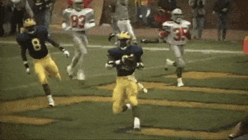 每日GIF(2021-11-28)的gif-College Football GIF by Michigan Athletics