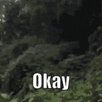 每日GIF(2021-12-03)的gif-Okaay Ok GIF by MOODMAN
