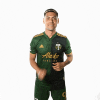 每日GIF(2021-12-05)的gif-Portland Timbers Dancing GIF by Timbers