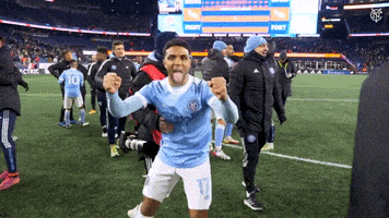 每日GIF(2021-12-06)的gif-Happy New York City Fc GIF by NYCFC