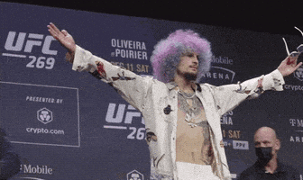 每日GIF(2021-12-11)的gif-Episode 5 Sport GIF by UFC