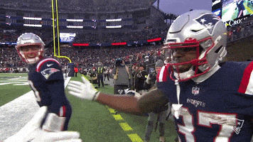 每日GIF(2021-12-19)的gif-Damien Harris Football GIF by New England Patriots