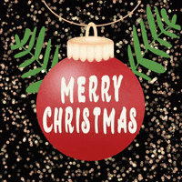 每日GIF(2021-12-26)的gif-Merry Christmas GIF by sylterinselliebe