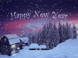 每日GIF(2022-01-02)的gif-Happy New Year GIF