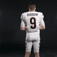 每日GIF(2022-01-03)的gif-Cincinnati Bengals Football GIF by Bengals