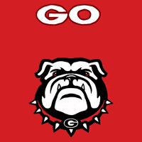 每日GIF(2022-01-11)的gif-Register To Vote Election 2020 GIF by #GoVote