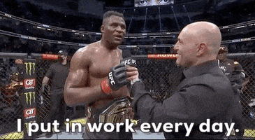 每日GIF(2022-01-24)的gif-Every Day Sport GIF by UFC