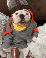 每日GIF(2022-02-14)的gif-Super Bowl Game GIF by JustViral