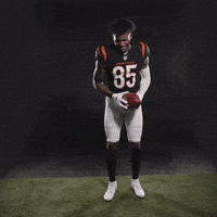 每日GIF(2022-02-14)的gif-Cincinnati Bengals Football GIF by Bengals