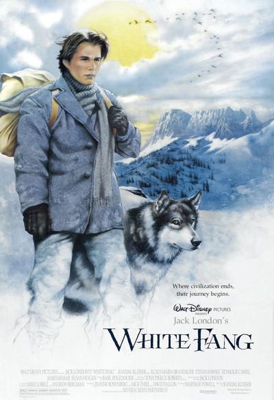 雪地黄金犬的海报-正式海报