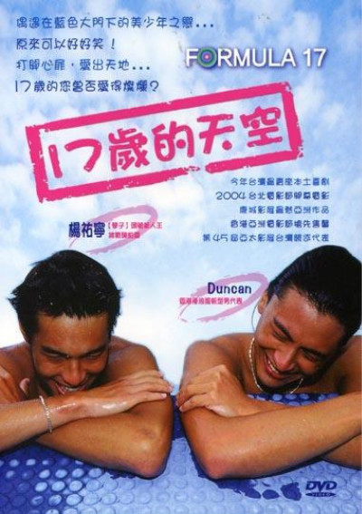 十七岁的天空的海报-其他海报 DVD封套