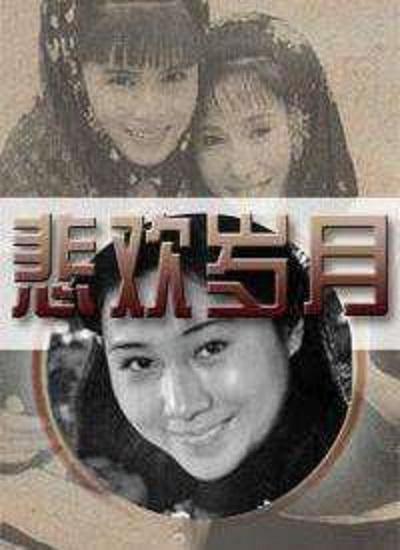 悲欢岁月的海报-正式海报
