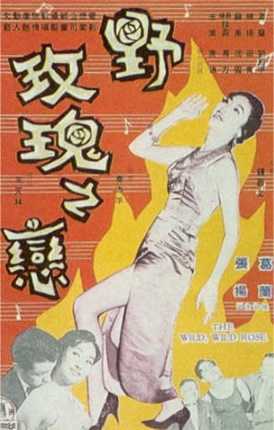 野玫瑰之恋的海报-其他海报