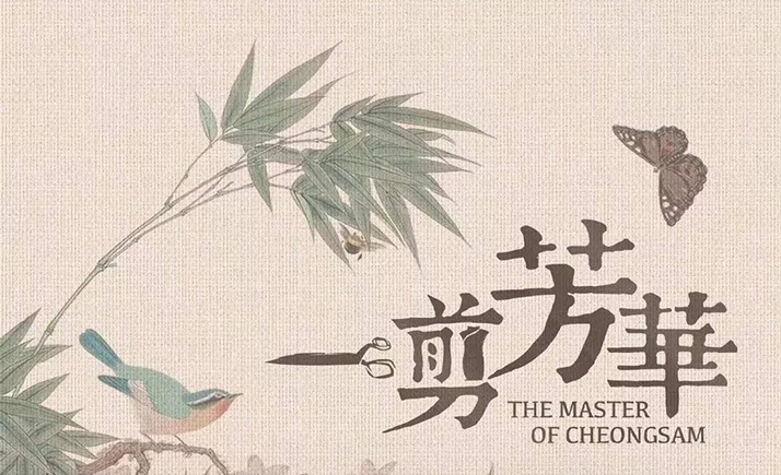 一剪芳华的海报-预告海报