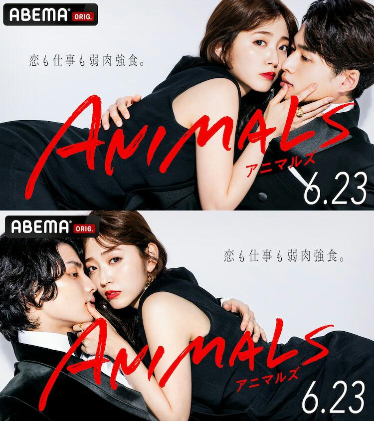 ANIMALS‐アニマルズ‐的海报-正式海报