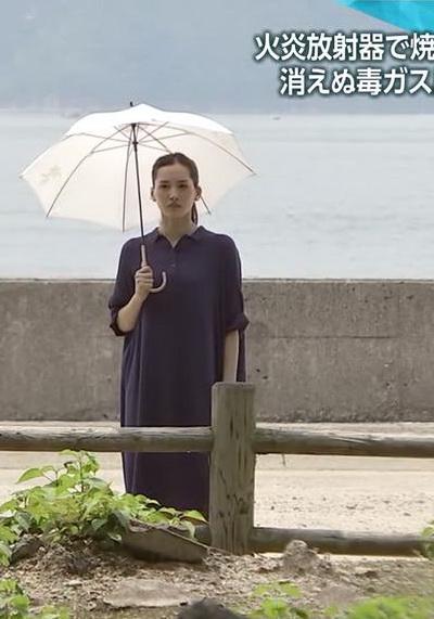绫濑遥倾听战争 从地图上消失的秘密岛屿的海报-正式海报
