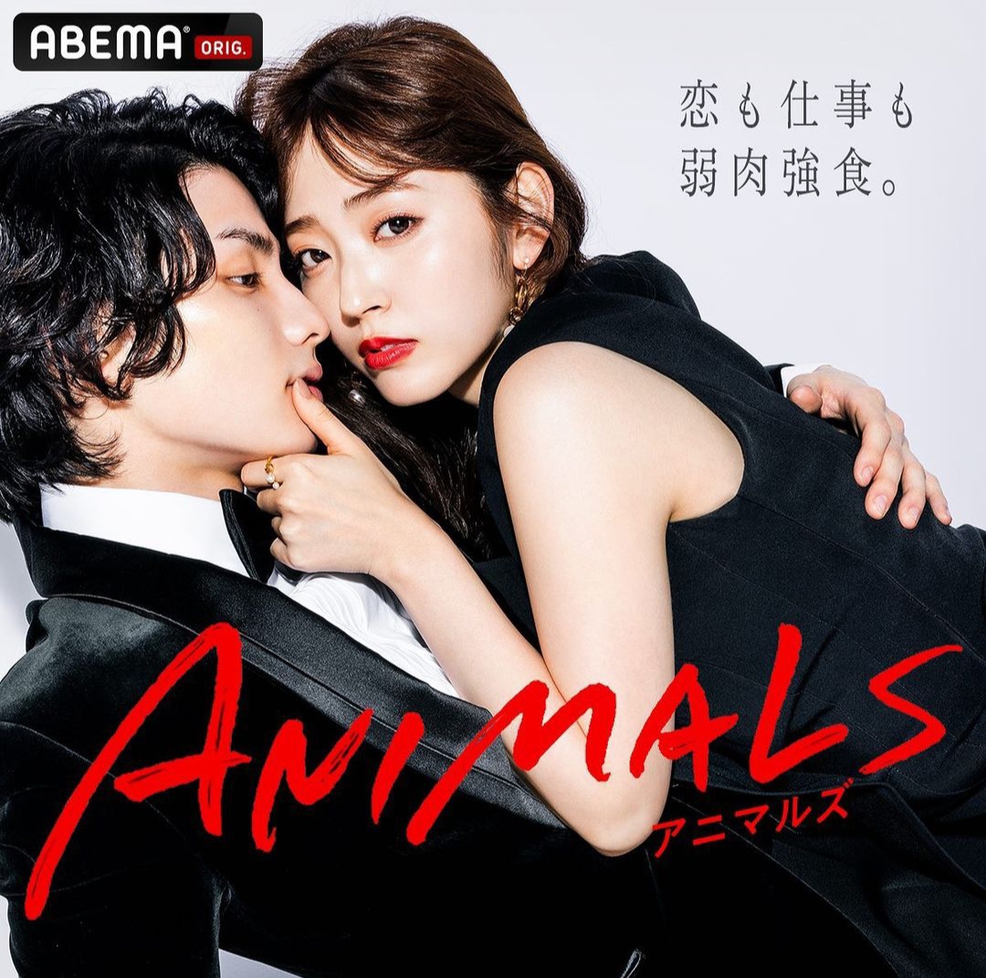 ANIMALS‐アニマルズ‐ 帰国編的海报-正式海报
