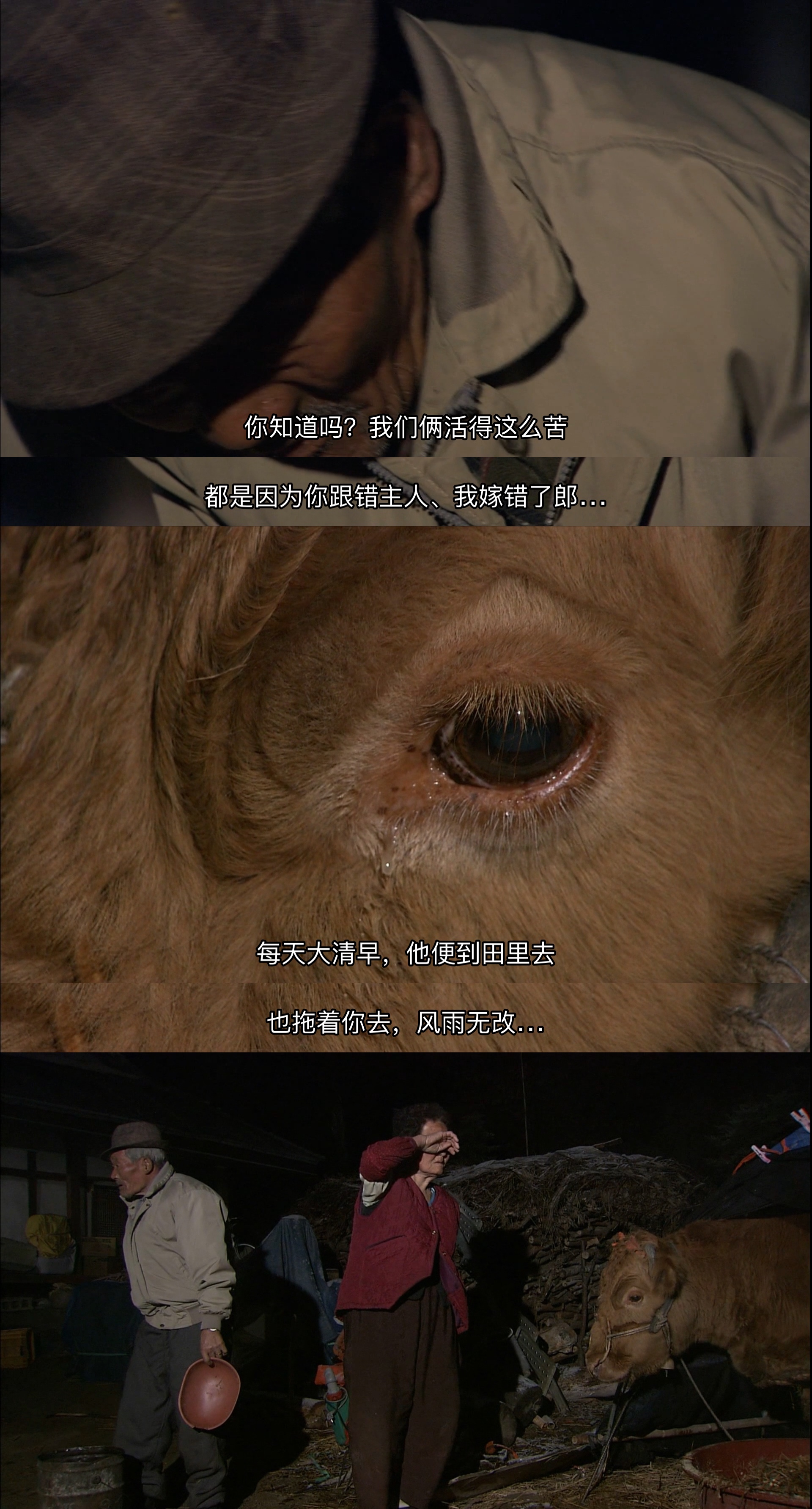牛铃之声剧照的剧照