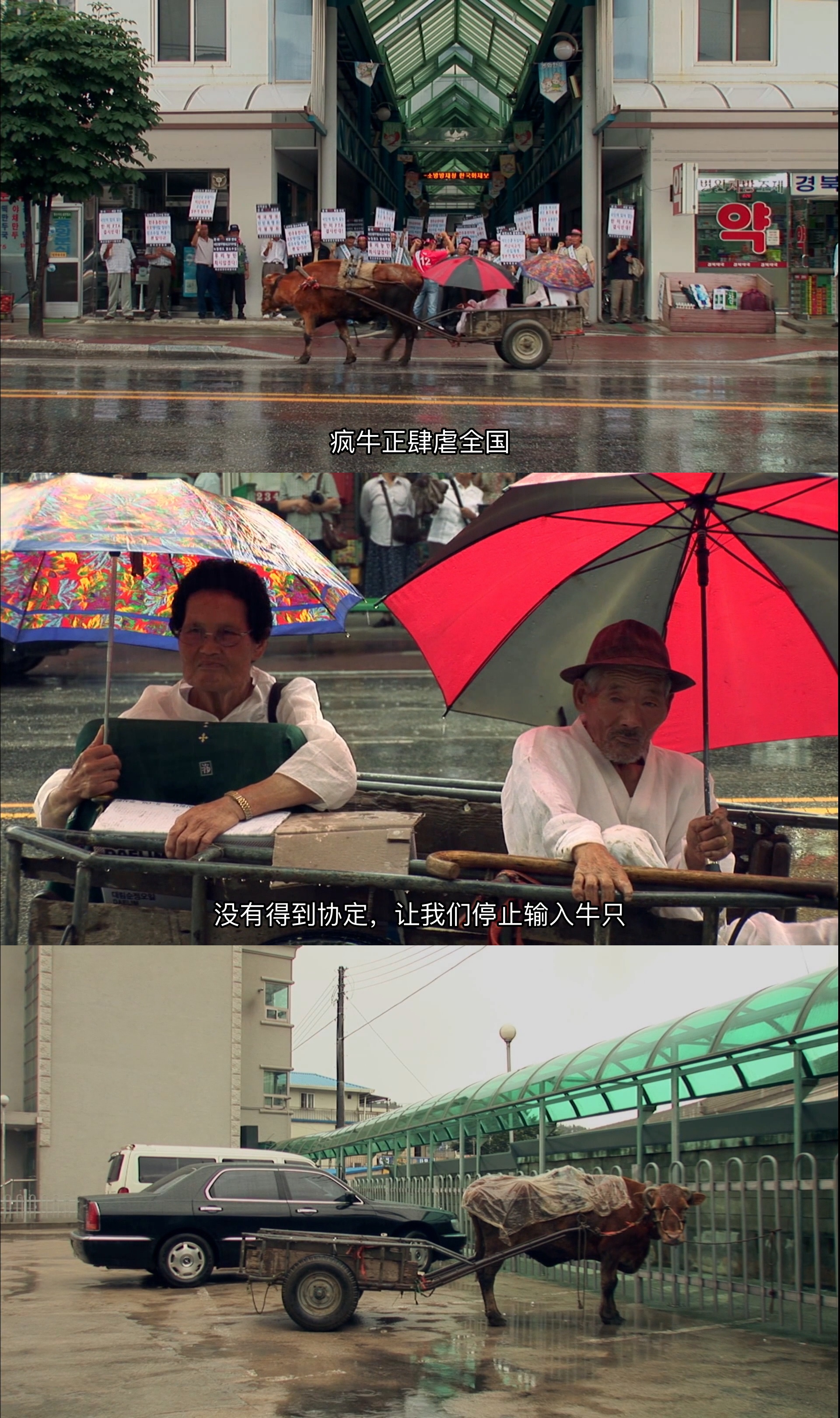 牛铃之声剧照的剧照